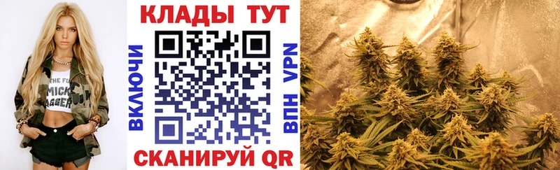 Купить закладку Alpha-PVP  Марихуана  Меф  Гашиш  Чайковский