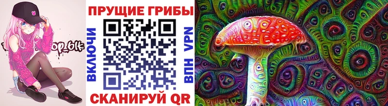 Купить закладки  Чайковский  Псилоцибиновые грибы прущие грибы 